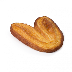 palmera